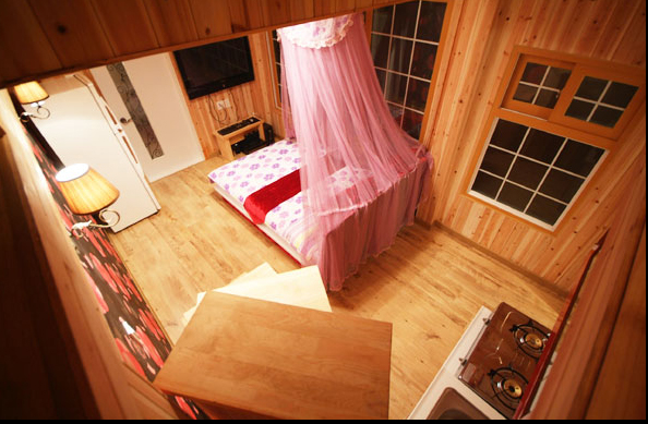 <span class='galleria_span'>앵무새</span><br />

  