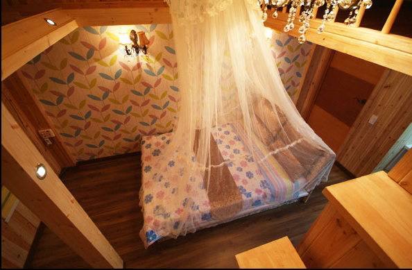 <span class='galleria_span'>카나리아</span><br />

