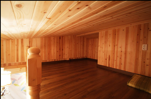 <span class='galleria_span'>카나리아</span><br />

 
