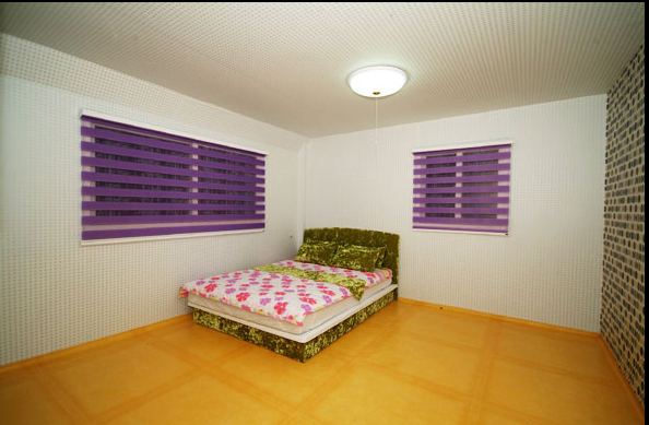 <span class='galleria_span'>봉황새</span><br />

 